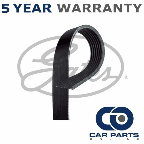 Gates ribbed belts - gates,