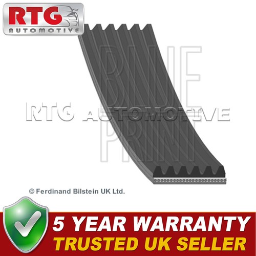 Alternator belt fits - fits, range