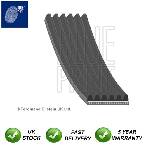 Alternator belt blue print - belt,
