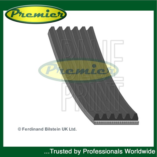 Premier alternator belt - belt, fits