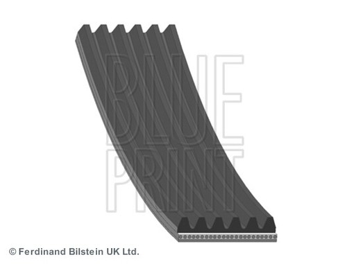 Drive belt blue print - drive,
