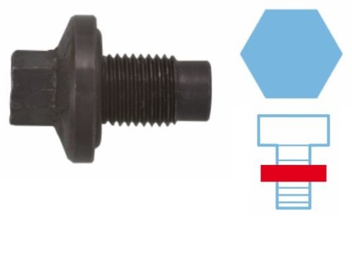 Oil sump screw - sump, plug