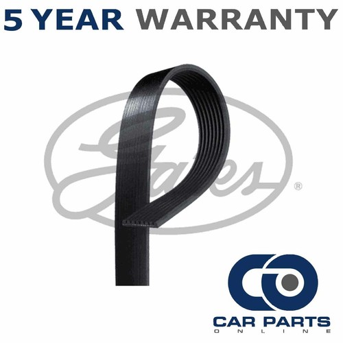 Gates ribbed belts fits - gates, jeep