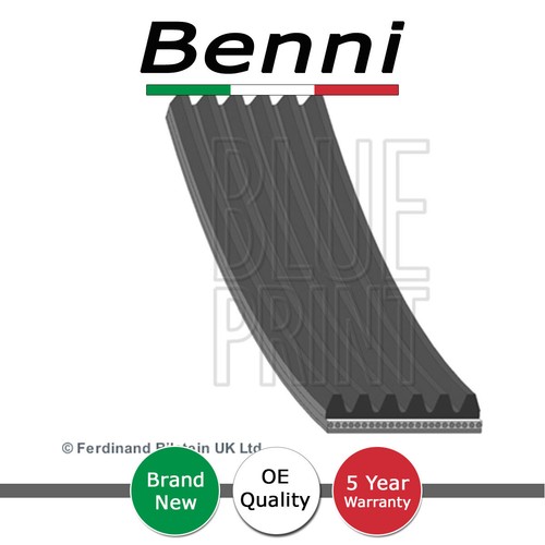 Alternator belt benni - belt, fits