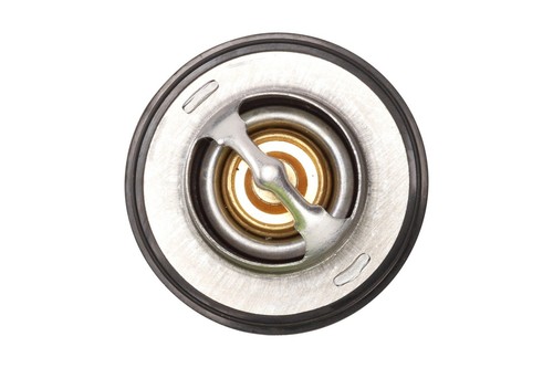 Bogap premium thermostat for - bogap,