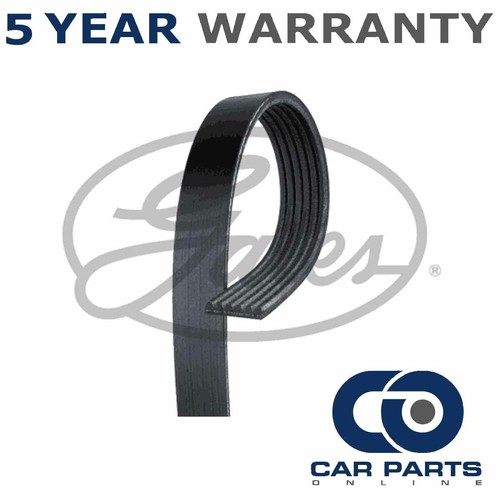 Gates ribbed belts fits - v-ribbed,